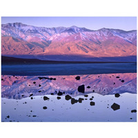 Panamint Range reflected in standing water at Badwater, Death Valley National Park, California-Paper Art-42&quotx32"