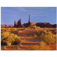 Totem Pole and Yei Bi Chei with sand dunes and shrubs, Monument Valley, Arizona and Utah border-Paper Art-18&quotx14"