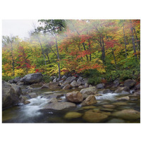 Swift River flowing through fall colored forest, White Mountains National Forest, New Hampshire-Paper Art-18"x14"