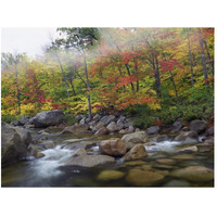 Swift River flowing through fall colored forest, White Mountains National Forest, New Hampshire-Paper Art-50"x38"