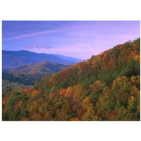 Appalachian Mountains ablaze with fall color, Great Smoky Mountains National Park, North Carolina-Paper Art-18"x14"