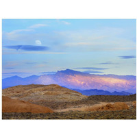 Sunset lighting up mountains under a full moon in Valley of Fire State Park, Mojave Desert, Nevada-Paper Art-18&quotx14"