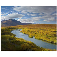 North Klondike River flowing through tundra beneath the Ogilvie Mountains, Yukon Territory, Canada-Paper Art-22"x18"