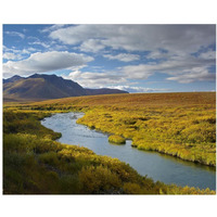 North Klondike River flowing through tundra beneath the Ogilvie Mountains, Yukon Territory, Canada-Paper Art-37"x30"