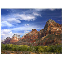 The Watchman, outcropping near south entrance of Zion National Park, cottonwoods in foreground, Utah-Paper Art-18"x14"