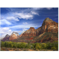 The Watchman, outcropping near south entrance of Zion National Park, cottonwoods in foreground, Utah-Paper Art-50"x38"