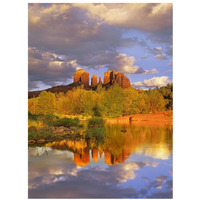 Cathedral Rock reflected in Oak Creek at Red Rock Crossing, Red Rock State Park near Sedona, Arizona-Paper Art-26"x34"