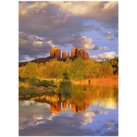 Cathedral Rock reflected in Oak Creek at Red Rock Crossing, Red Rock State Park near Sedona, Arizona-Paper Art-32"x42"