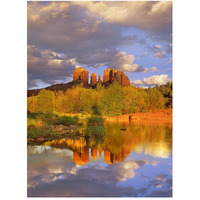 Cathedral Rock reflected in Oak Creek at Red Rock Crossing, Red Rock State Park near Sedona, Arizona-Paper Art-38"x50"