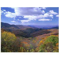 Deciduous forest in the autumn from Thunderstruck Ridge Overlook, Blue Ridge Parkway, North Carolina-Paper Art-18"x14"