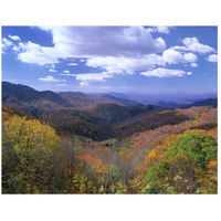 Deciduous forest in the autumn from Thunderstruck Ridge Overlook, Blue Ridge Parkway, North Carolina-Paper Art-26"x20"