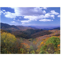 Deciduous forest in the autumn from Thunderstruck Ridge Overlook, Blue Ridge Parkway, North Carolina-Paper Art-50"x38"