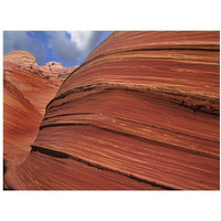 Detail of The Wave, a Navajo sandstone formation in Paria Canyon-Vermilion Cliffs Wilderness, Arizona-Paper Art-18"x14"