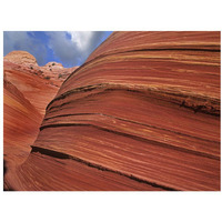 Detail of The Wave, a Navajo sandstone formation in Paria Canyon-Vermilion Cliffs Wilderness, Arizona-Paper Art-34"x26"