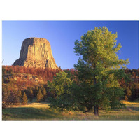 Devil's Tower National Monument showing famous basalt tower, sacred site for Native Americans, Wyoming-Paper Art-18"x14"