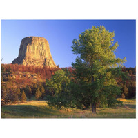 Devil's Tower National Monument showing famous basalt tower, sacred site for Native Americans, Wyoming-Paper Art-26"x20"