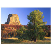 Devil's Tower National Monument showing famous basalt tower, sacred site for Native Americans, Wyoming-Paper Art-34&quotx26"