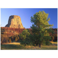 Devil's Tower National Monument showing famous basalt tower, sacred site for Native Americans, Wyoming-Paper Art-42"x32"