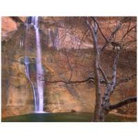 Calf Creek Falls cascading down sandstone cliff with desert varnish, Escalante National Monument, Utah-Paper Art-42"x32"