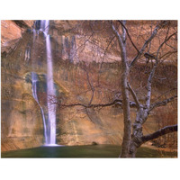 Calf Creek Falls cascading down sandstone cliff with desert varnish, Escalante National Monument, Utah-Paper Art-50"x38"