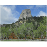 Devil's Tower National Monument showing famous basalt tower, sacred site for Native Americans, Wyoming-Paper Art-42"x32"