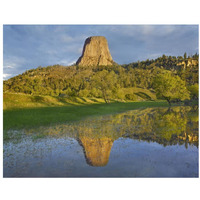 Devil's Tower National Monument showing famous basalt tower, sacred site for Native Americans, Wyoming-Paper Art-34"x26"