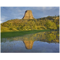 Devil's Tower National Monument showing famous basalt tower, sacred site for Native Americans, Wyoming-Paper Art-42&quotx32"