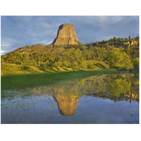 Devil's Tower National Monument showing famous basalt tower, sacred site for Native Americans, Wyoming-Paper Art-50"x38"