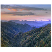 Deciduous forest covering mountains, Newfound Gap, Great Smoky Mountains National Park, North Carolina-Paper Art-18"x15.44"