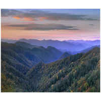 Deciduous forest covering mountains, Newfound Gap, Great Smoky Mountains National Park, North Carolina-Paper Art-42"x35.6"