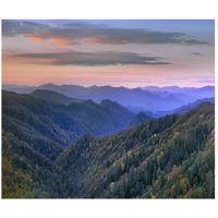 Deciduous forest covering mountains, Newfound Gap, Great Smoky Mountains National Park, North Carolina-Paper Art-46"x38.96"