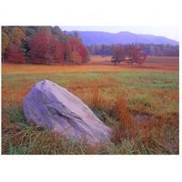 Boulder and autumn colored deciduous forest, Cades Cove, Great Smoky Mountains National Park, Tennessee-Paper Art-26&quotx20"