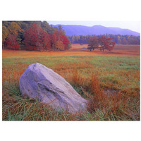 Boulder and autumn colored deciduous forest, Cades Cove, Great Smoky Mountains National Park, Tennessee-Paper Art-34"x26"