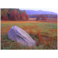 Boulder and autumn colored deciduous forest, Cades Cove, Great Smoky Mountains National Park, Tennessee-Paper Art-42"x32"