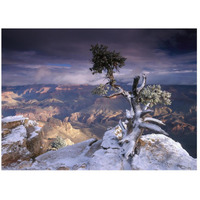 South Rim of Grand Canyon with a dusting of snow seen from Yaki Point, Grand Canyon National Park, Arizona-Paper Art-26&quotx20"