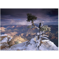 South Rim of Grand Canyon with a dusting of snow seen from Yaki Point, Grand Canyon National Park, Arizona-Paper Art-50"x38"