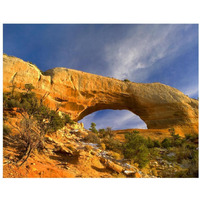 Wilson Arch with a span of 91 feet and height of 46 feet, made of entrada sandstone, Utah-Paper Art-22"x18"