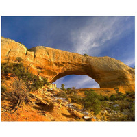 Wilson Arch with a span of 91 feet and height of 46 feet, made of entrada sandstone, Utah-Paper Art-26&quotx22"