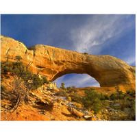 Wilson Arch with a span of 91 feet and height of 46 feet, made of entrada sandstone, Utah-Paper Art-30"x24"