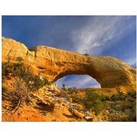 Wilson Arch with a span of 91 feet and height of 46 feet, made of entrada sandstone, Utah-Paper Art-37"x30"