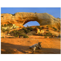 Wilson Arch with a span of 91 feet and height of 46 feet, made of entrada sandstone, Utah-Paper Art-18"x14"