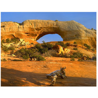 Wilson Arch with a span of 91 feet and height of 46 feet, made of entrada sandstone, Utah-Paper Art-42&quotx32"