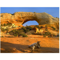 Wilson Arch with a span of 91 feet and height of 46 feet, made of entrada sandstone, Utah-Paper Art-50"x38"