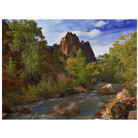 Mt Spry at 5,823 foot elevation with the Virgin River surrounded by Cottonwood trees, Zion National Park, Utah-Paper Art-34"x26"