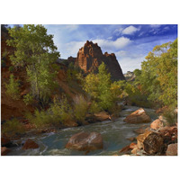 Mt Spry at 5,823 foot elevation with the Virgin River surrounded by Cottonwood trees, Zion National Park, Utah-Paper Art-50"x38"