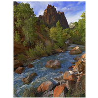 Mt Spry at 5,823 foot elevation with the Virgin River surrounded by Cottonwood trees, Zion National Park, Utah-Paper Art-14"x18"