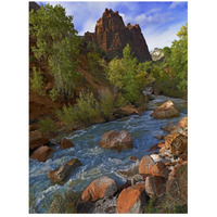 Mt Spry at 5,823 foot elevation with the Virgin River surrounded by Cottonwood trees, Zion National Park, Utah-Paper Art-20"x26"