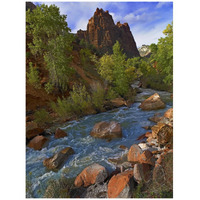 Mt Spry at 5,823 foot elevation with the Virgin River surrounded by Cottonwood trees, Zion National Park, Utah-Paper Art-32&quotx42"