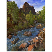 Mt Spry at 5,823 foot elevation with the Virgin River surrounded by Cottonwood trees, Zion National Park, Utah-Paper Art-38"x50"