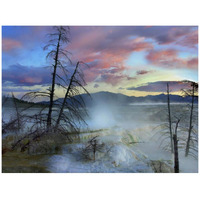 Steam rising from travertine formations, Minerva Terrace, Mammoth Hot Springs, Yellowstone National Park, Wyoming-Paper Art-42"x32"